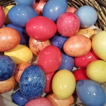 Дом отдыха Emil Кохем