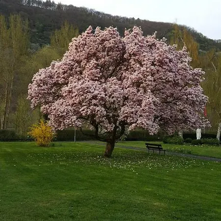 Emil Дом отдыха