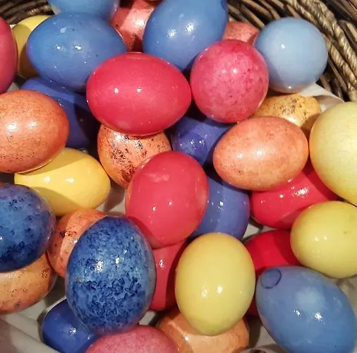 Semesterbostad Emil Cochem