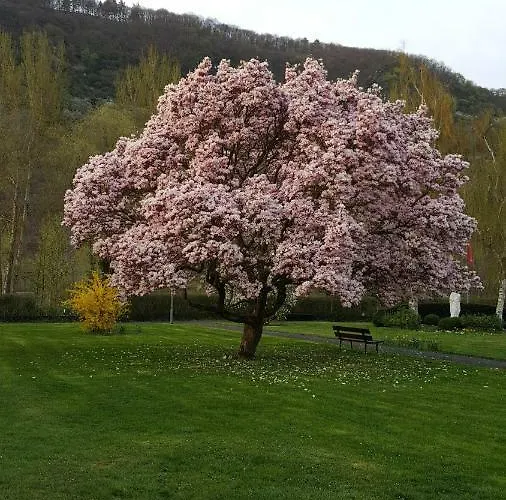 Emil Сasa de vacaciones